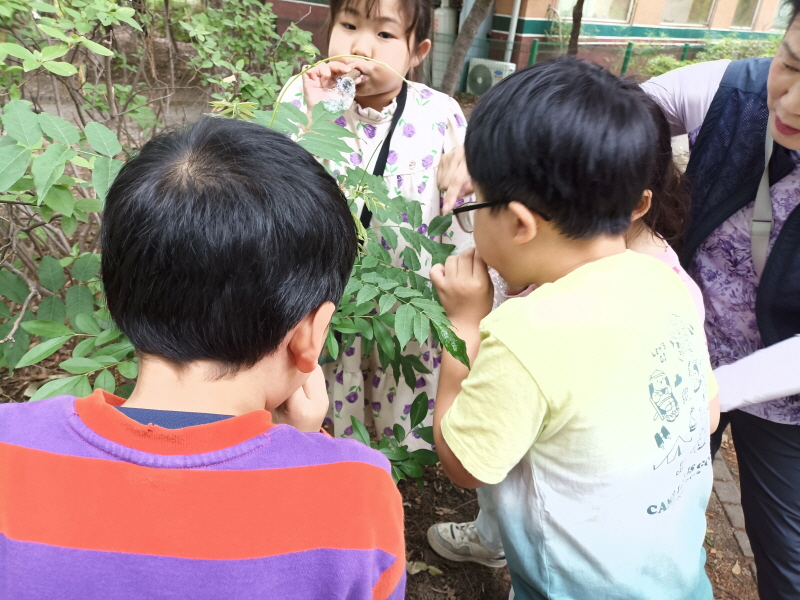 정서 프로그램 _ 숲체험